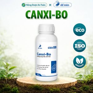 Canxi Bo Siêu Ra Hoa Chống Rụng Trái Non