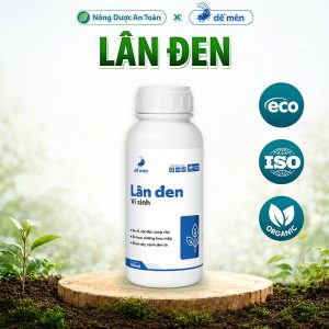 Lân đen Kích Bông Kích Mắt Cua