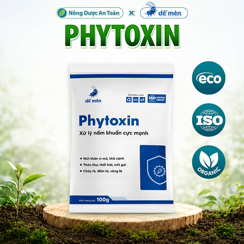 PHYTOXIN 100G