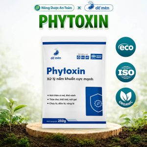 PHYTOXIN Chuyên Trị Thán Thư Thối Trái Nấm Hồng Đốm Lá