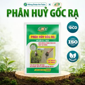 Phân hủy gốc rạ Phân giải tàn dư hữu cơ, cải tạo đất Chế phẩm sinh học CNX
