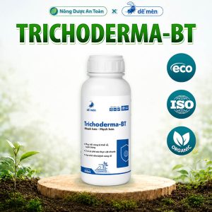 TRICHODERMA BT Nước Thế Hệ Mới Nhanh Hơn Mạnh Hơn