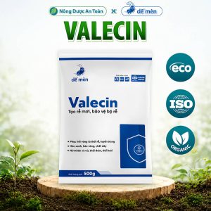 VALECIN Phòng Trị Nấm Rễ Vàng Lá Thối Rễ