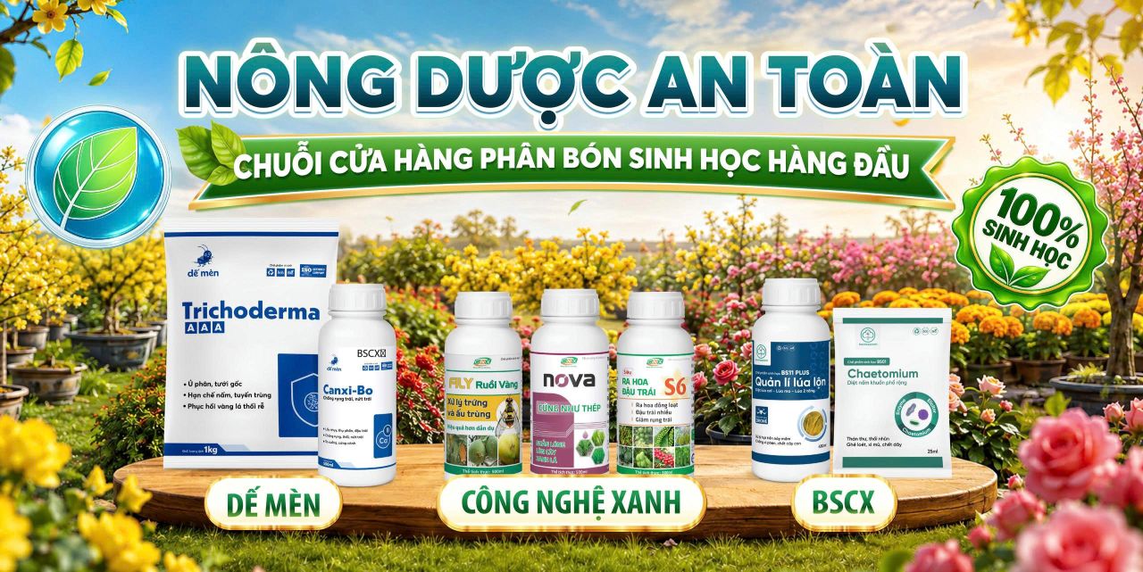 banner tháng 8 cửa hang
