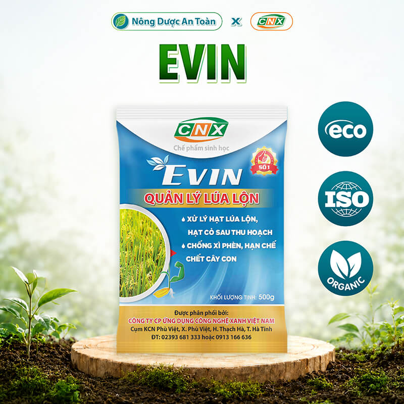 evin