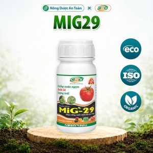 MIG29- Hạn chế xoăn ngọn, xoăn lá, sượng trái (250ml) Chế phẩm sinh học CNX