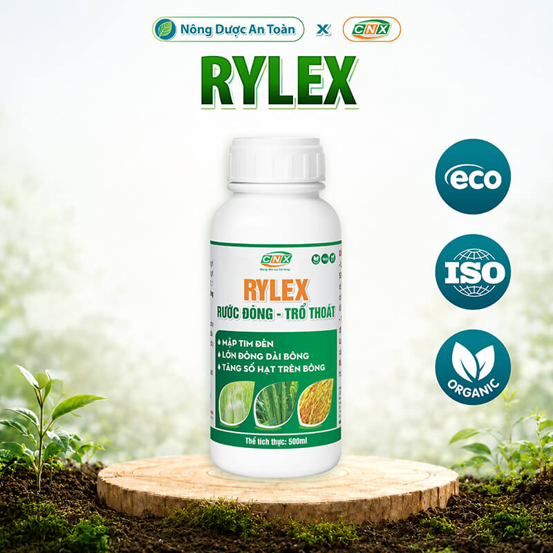 rylex